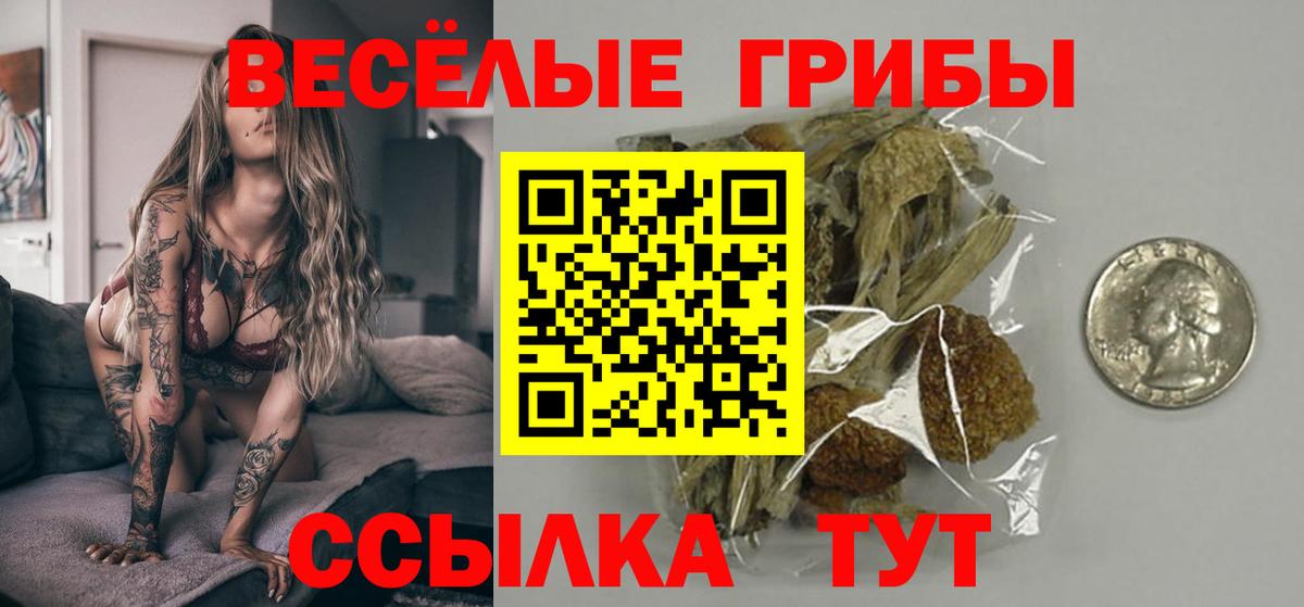Галлюциногенные грибы мицелий  Галлюциногенные грибы мицелий  Лениногорск  Вход с VPN 